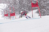 IMG_7822