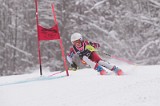 IMG_7824