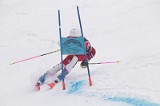 IMG_7826