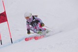 IMG_7841