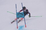 IMG_7849