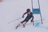IMG_7851