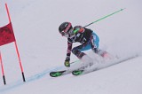 IMG_7855