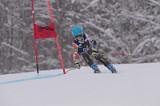IMG_7861