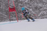 IMG_7862