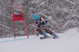 IMG_7864