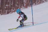 IMG_7870