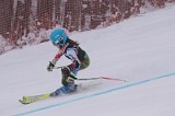 IMG_7871