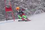 IMG_7876