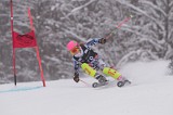 IMG_7888