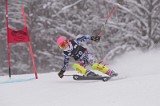 IMG_7889