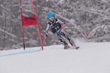 IMG_7900