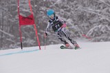 IMG_7901