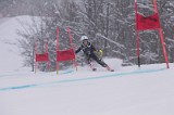 IMG_7910
