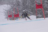 IMG_7911