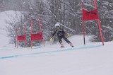 IMG_7912