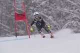 IMG_7913
