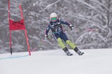 IMG_7930