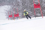 IMG_7938