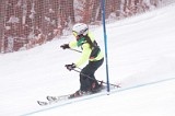 IMG_7949