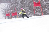 IMG_7951