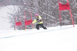 IMG_7952