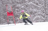 IMG_7953