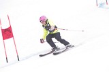 IMG_7958