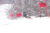 IMG_7964