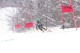IMG_7965
