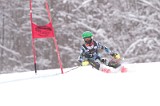 IMG_7966