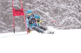 IMG_7978