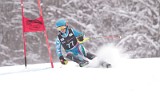 IMG_7979