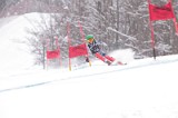 IMG_7991