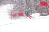 IMG_7992