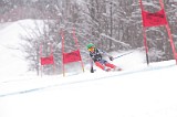 IMG_7993