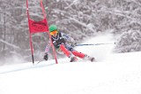 IMG_7994