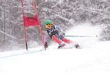 IMG_7995
