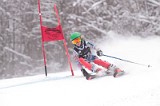 IMG_7997