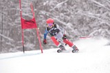 IMG_8008