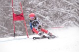IMG_8010