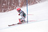 IMG_8017