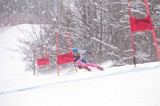 IMG_8019