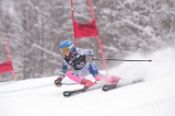 IMG_8024