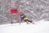 IMG_8035