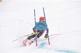 IMG_8037