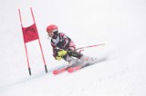 IMG_8041