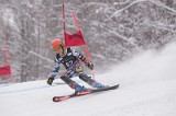 IMG_8049