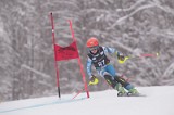 IMG_8102
