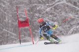IMG_8104
